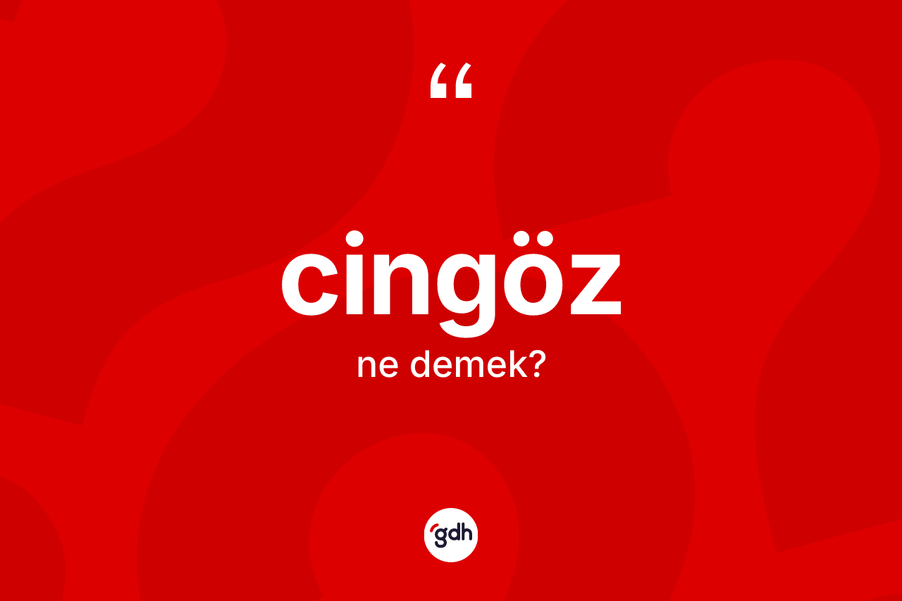 Cingöz ne anlama gelir?
