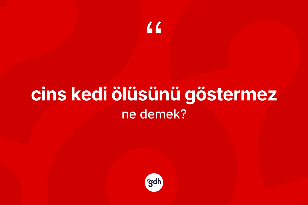 Cins kedi ölüsünü göstermez ifadesinin anlamı nedir? Cins kedi ölüsünü göstermez sözü hangi durumlarda kullanılır?