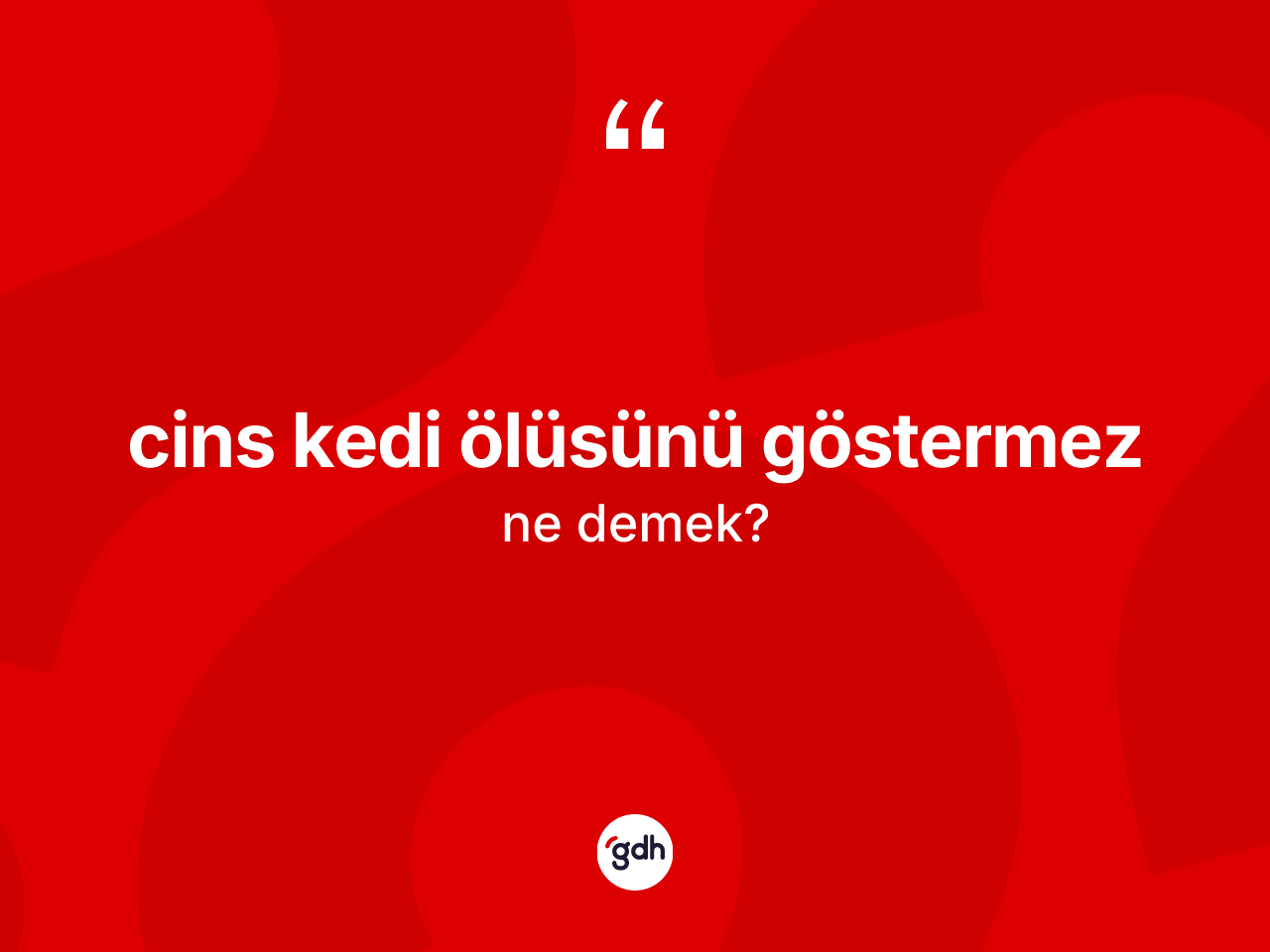 Cins kedi ölüsünü göstermez ifadesinin anlamı nedir? Cins kedi ölüsünü göstermez sözü hangi durumlarda kullanılır?