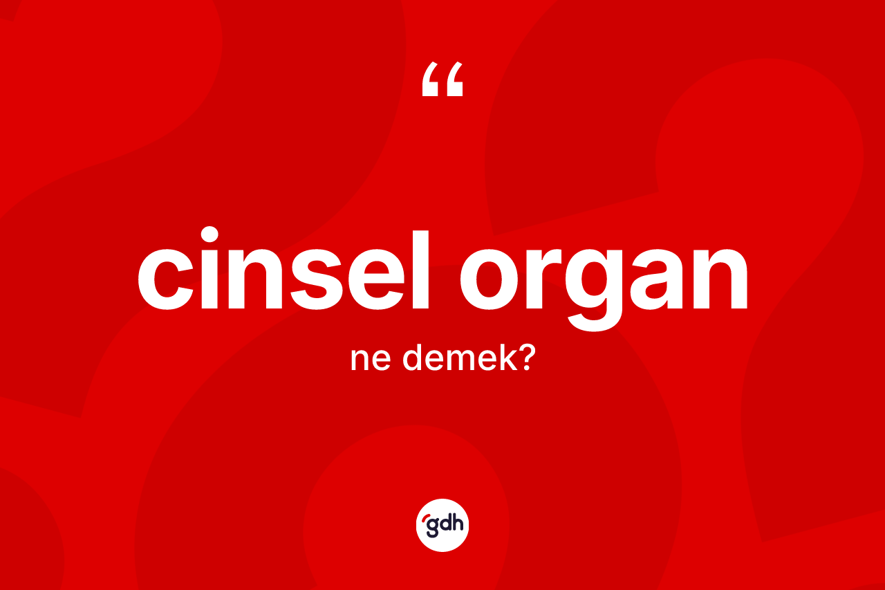 Cinsel organ kelimesinin sözlükteki tanımı nedir?