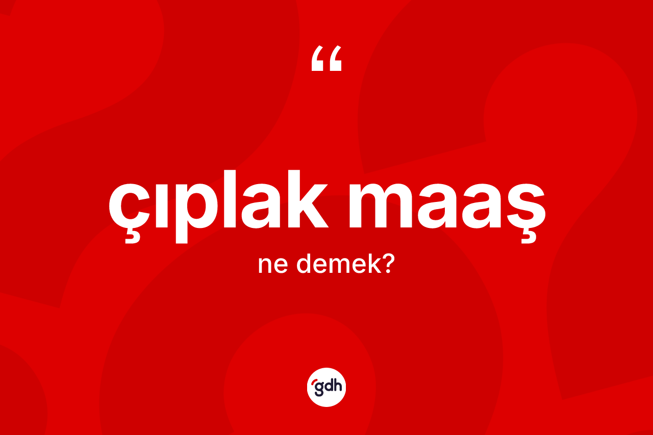 Çıplak maaş kelimesinin tanımı nedir? Çıplak maaşın kısaca tanımı nedir?