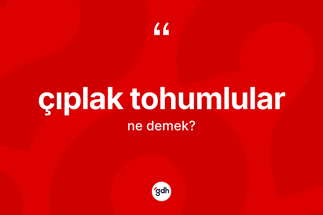 Çıplak tohumlular ne demek? Çıplak tohumluların TDK'ya göre anlamı nedir?
