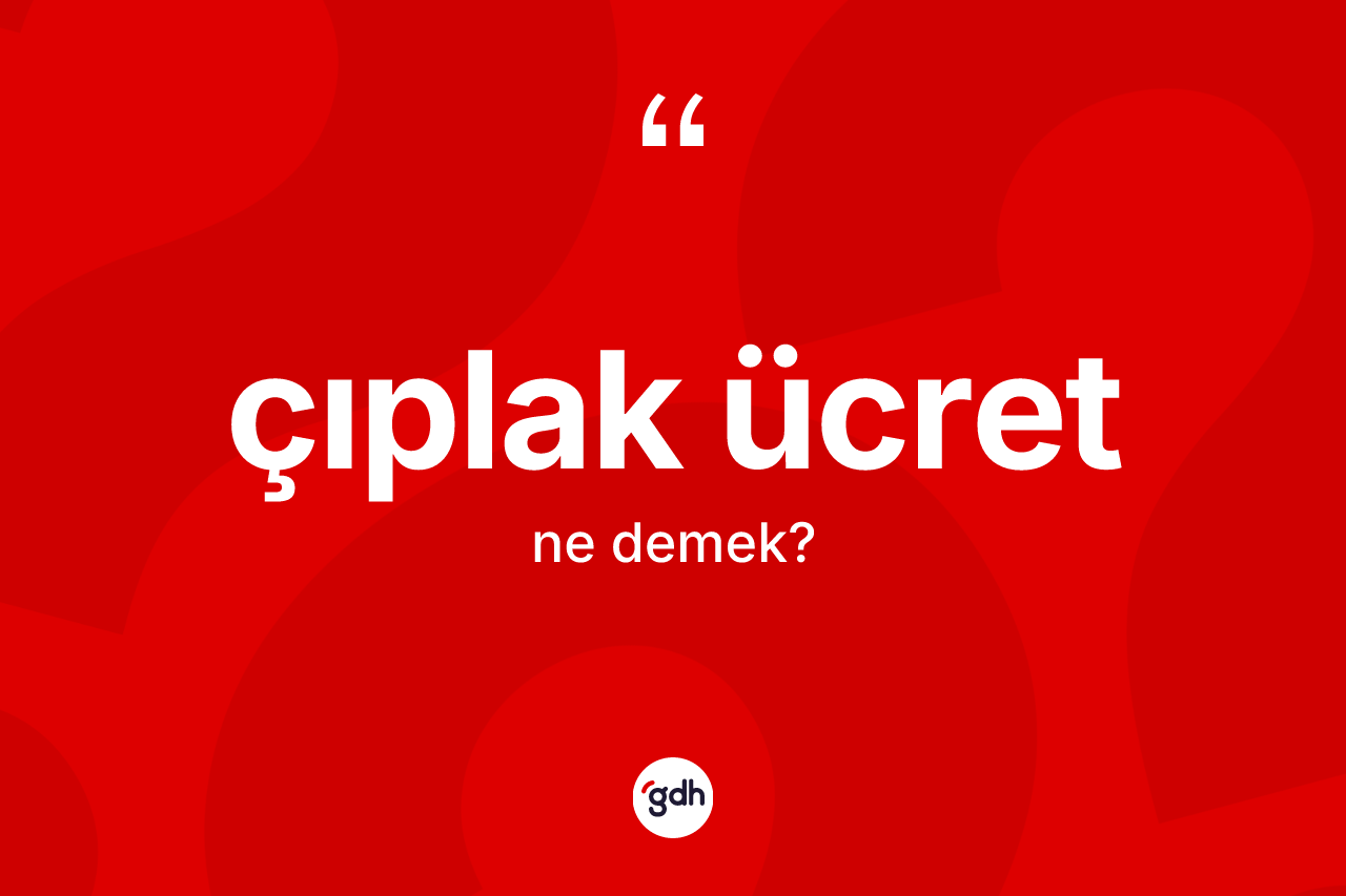 Çıplak ücret kelimesinin sözlükteki tanımı nedir? Çıplak ücret kelimesinin TDK'ya göre açıklaması nedir?