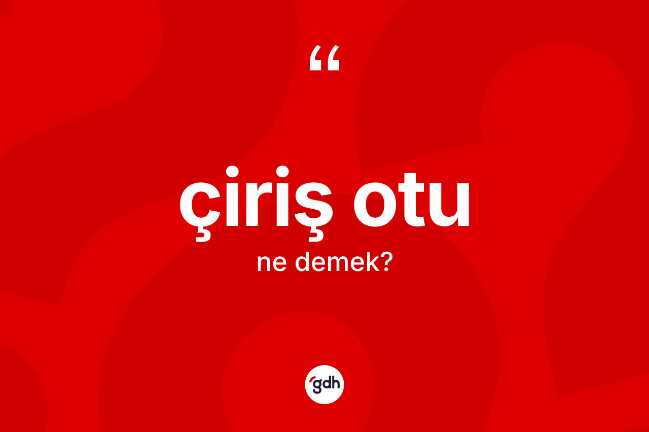 Çiriş otu kelimesinin anlamı nedir?
