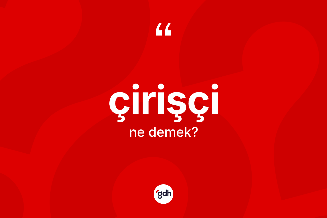 Çirişçi ne anlama gelir? Çirişçi kelimesinin TDK'ya göre açıklaması nedir?