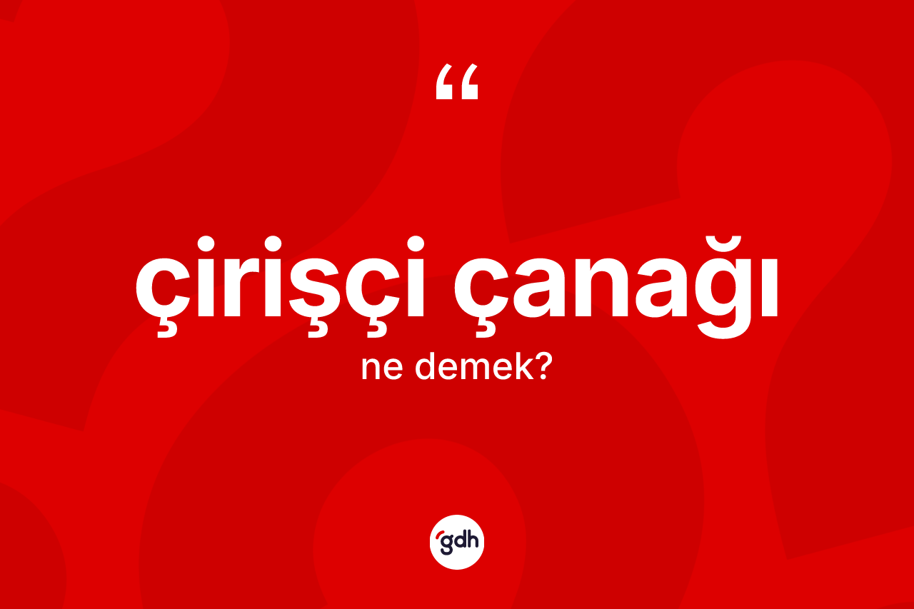 Çirişçi çanağı kelimesinin sözlükteki tanımı nedir? Çirişçi çanağının sözlükteki anlamı nedir?