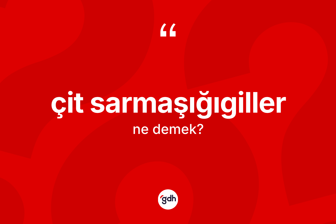 Çit sarmaşığıgiller kelimesi ne demek? Çit sarmaşığıgillerin kısaca tanımı nedir?