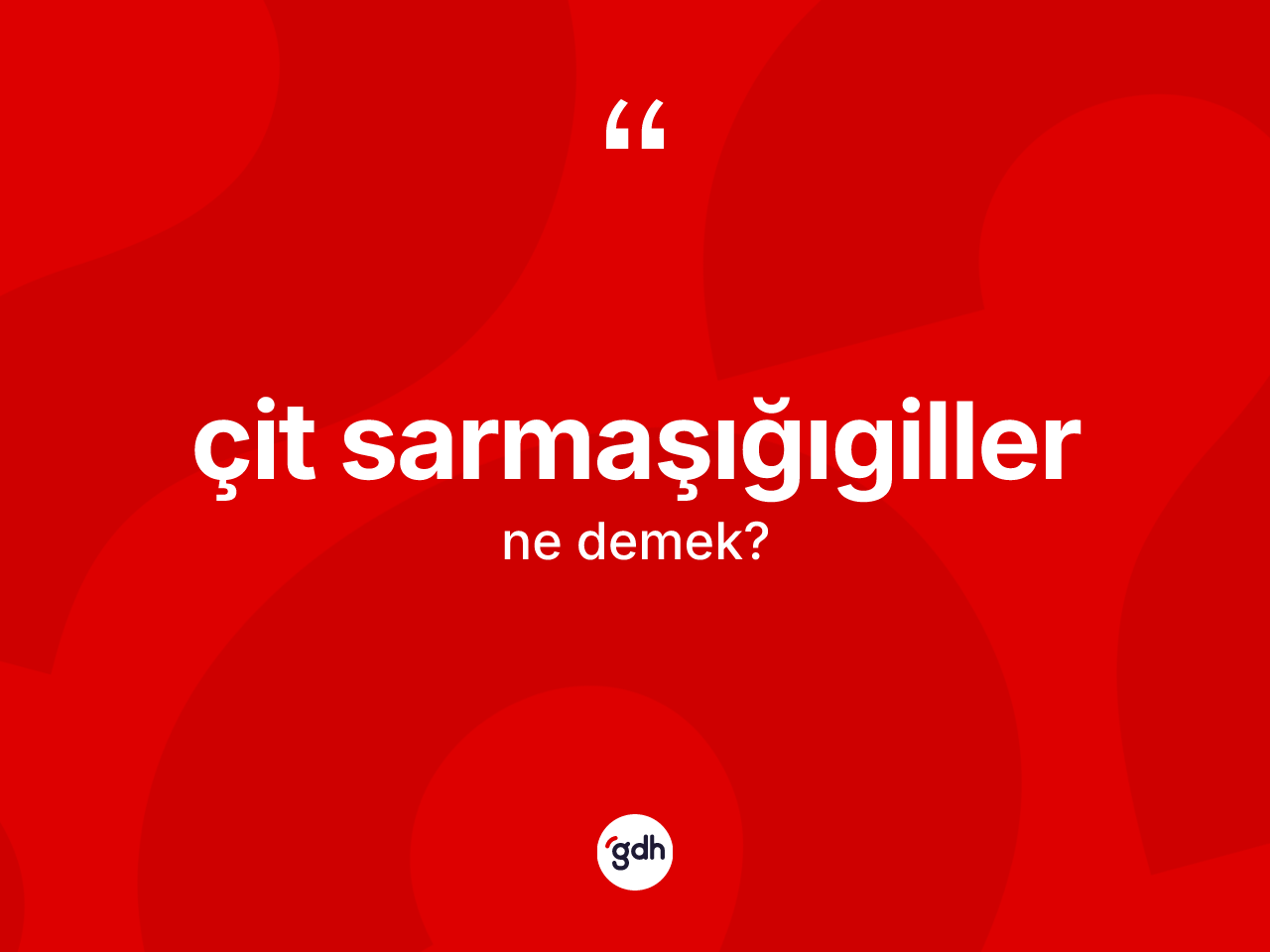 Çit sarmaşığıgiller kelimesi ne demek? Çit sarmaşığıgillerin kısaca tanımı nedir?