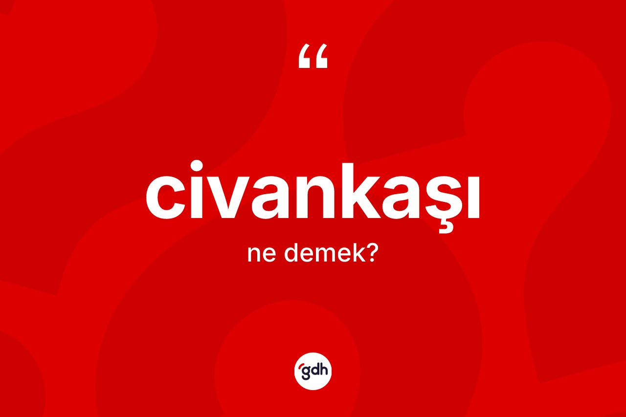 Civankaşı ne demek? Civankaşının TDK'ya göre anlamı nedir?