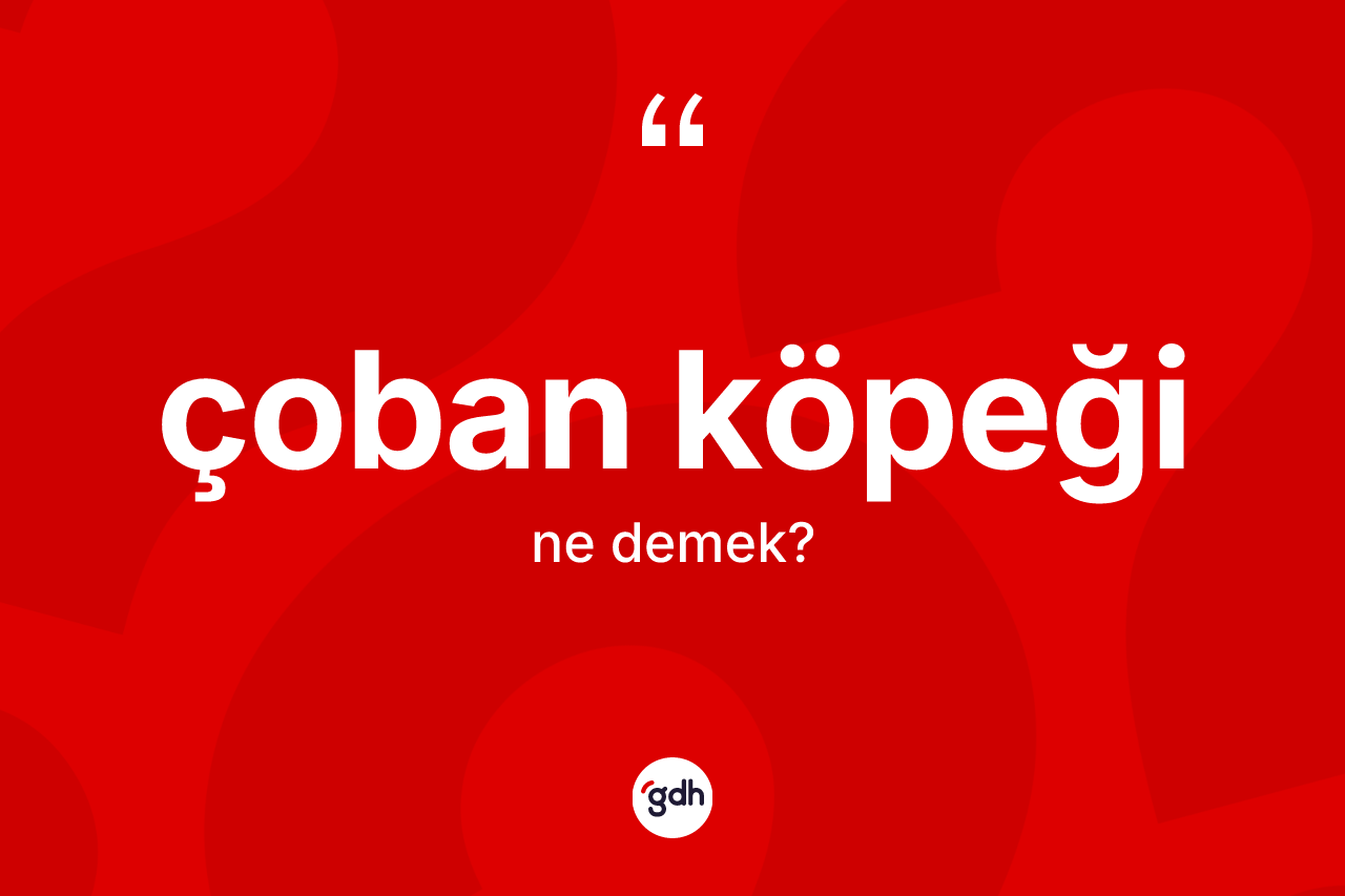 Çoban köpeği kelimesinin sözlükteki tanımı nedir? Çoban köpeğinin halk arasındaki kullanımı nasıldır?