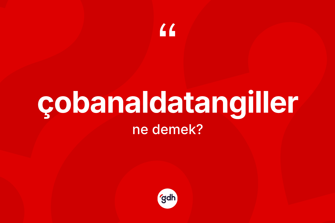 Çobanaldatangiller kelimesi nedir? Çobanaldatangillerin TDK'ya göre anlamı nedir?