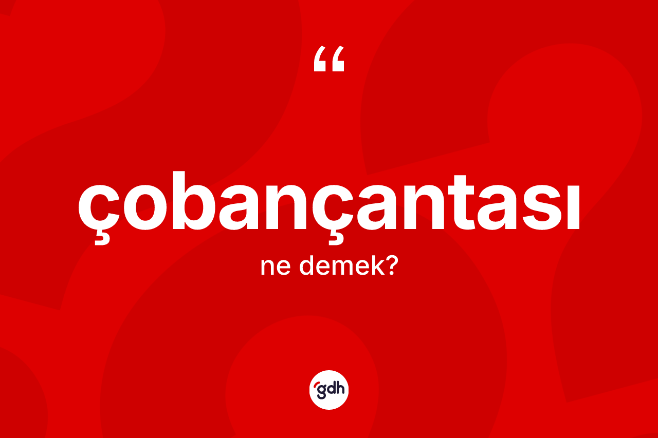 Çobançantası kelimesinin tanımı nedir? Çobançantası kelimesinin TDK anlamı nedir?