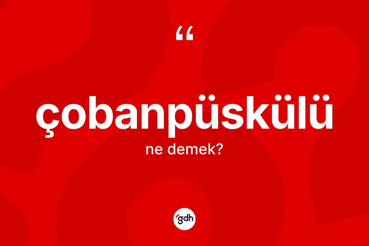 Çobanpüskülü ne demek? Çobanpüskülünün TDK'ya göre anlamı nedir?