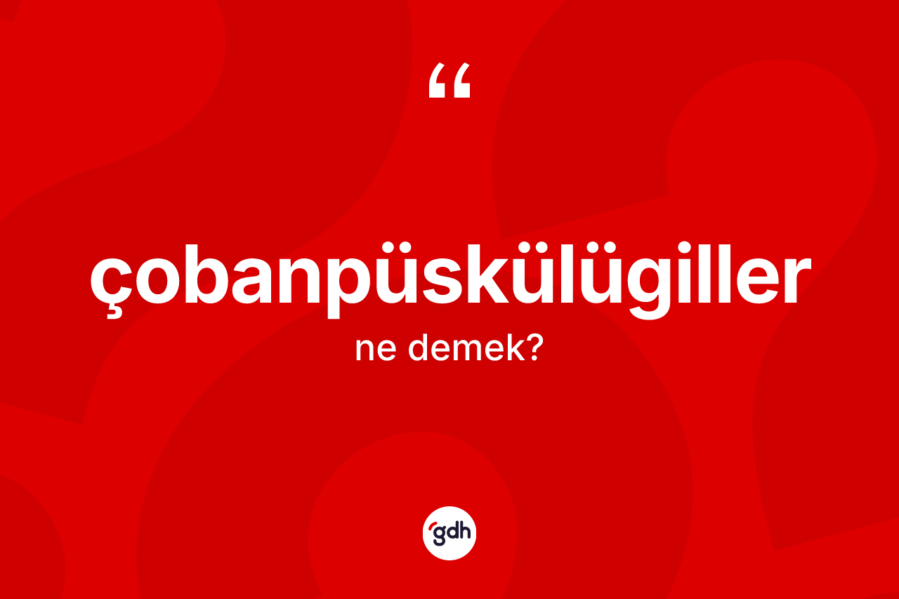 Çobanpüskülügiller kelimesinin anlamı nedir?