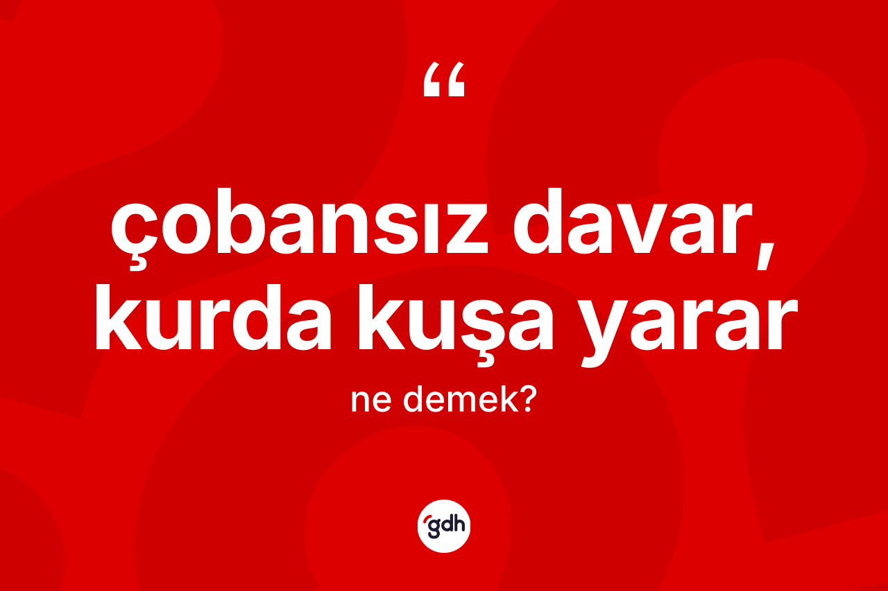 Çobansız davar, kurda kuşa yarar ne demek? Çobansız davar, kurda kuşa yarar ifadesi hangi durumlarda kullanılır