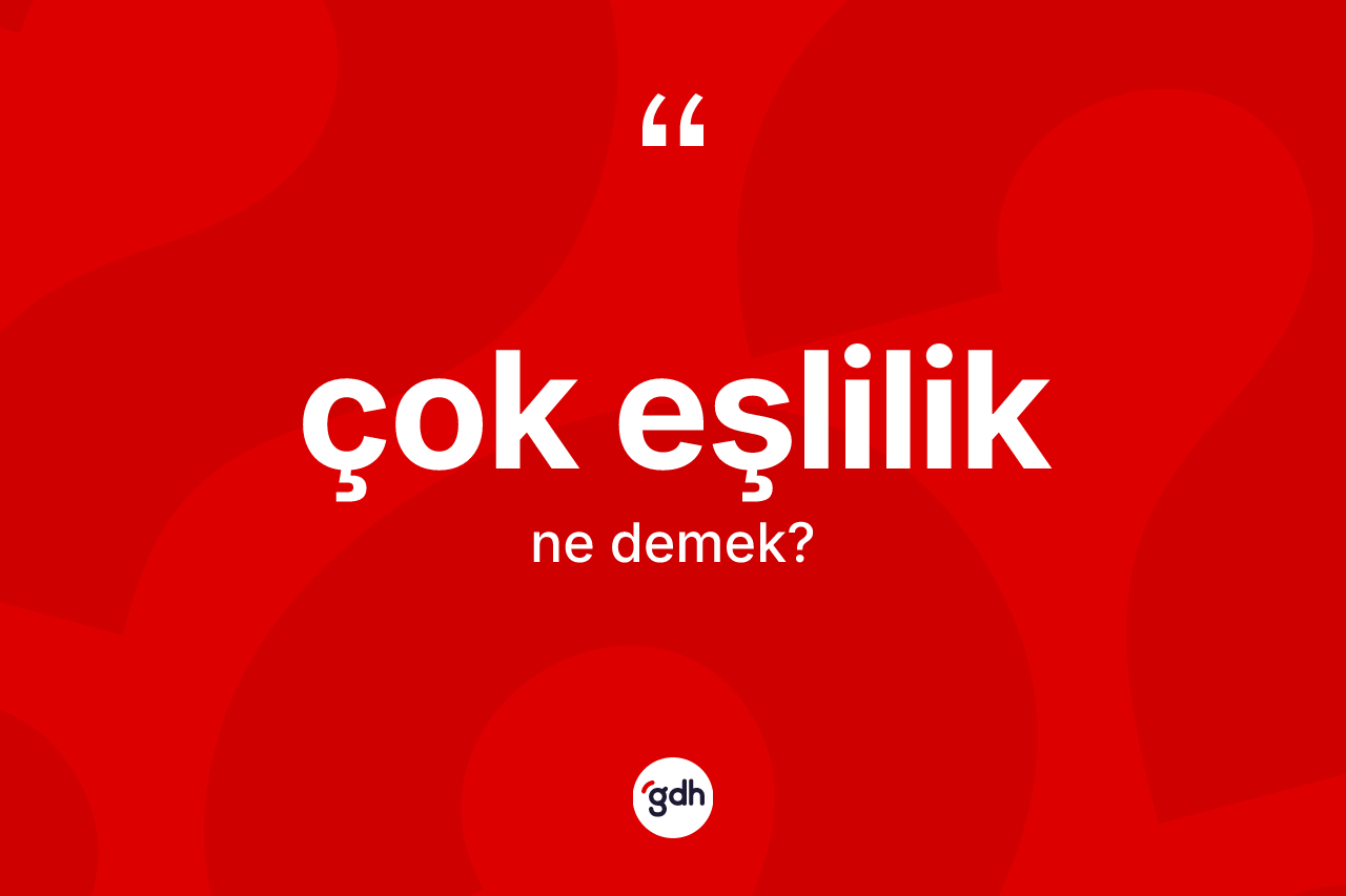 Çok eşlilik ne anlama gelir?