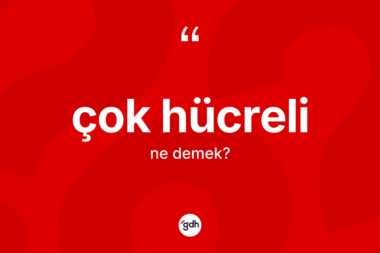 Çok hücreli kelimesi ne anlama gelir? Çok hücrelinin TDK'ya göre anlamı nedir?