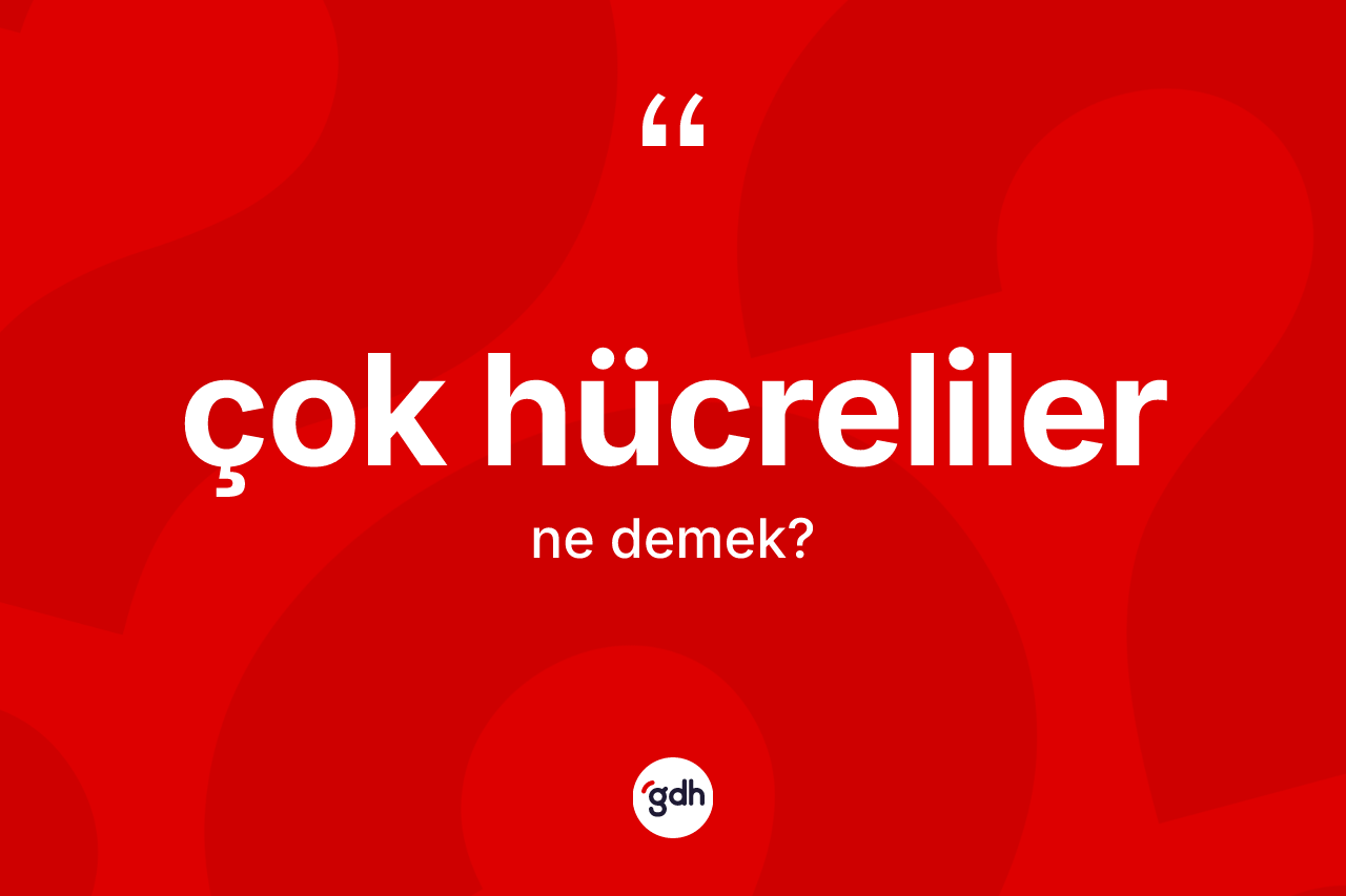 Çok hücreliler nedir? Çok hücrelilerin TDK'ya göre anlamı nedir?