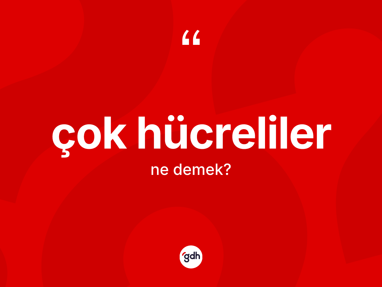 Çok hücreliler nedir? Çok hücrelilerin TDK'ya göre anlamı nedir?