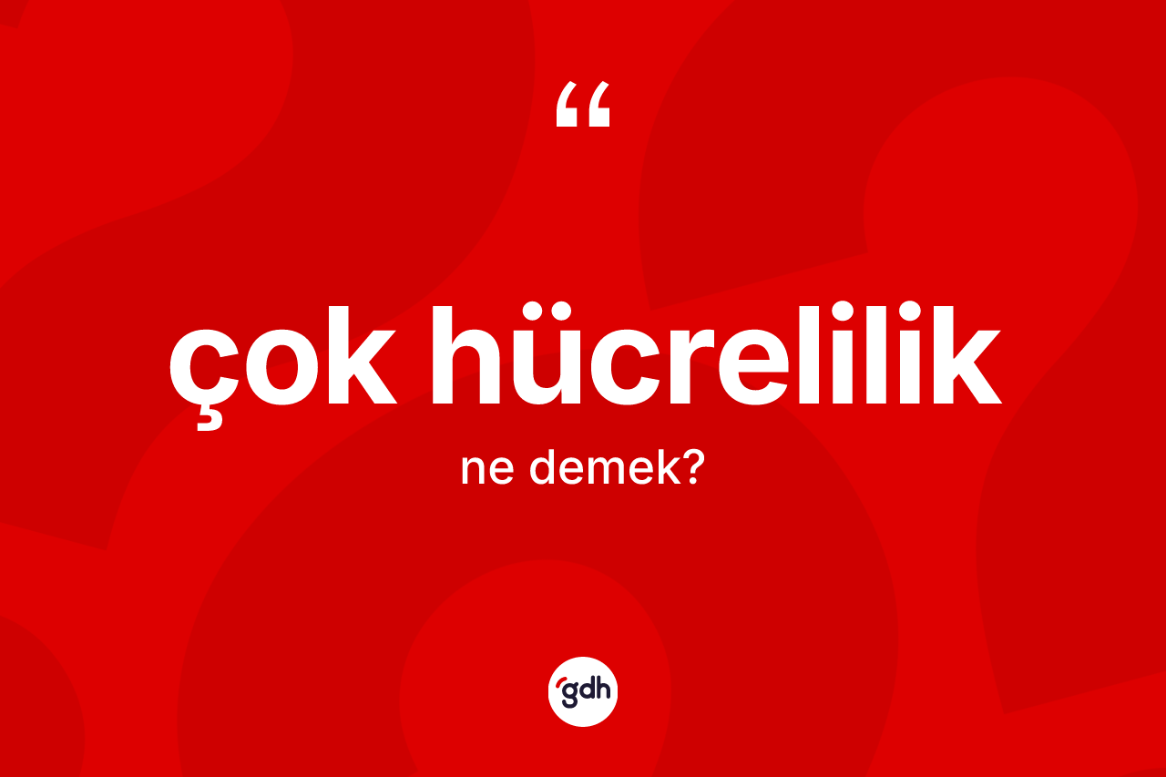 Çok hücrelilik ne anlama gelir?