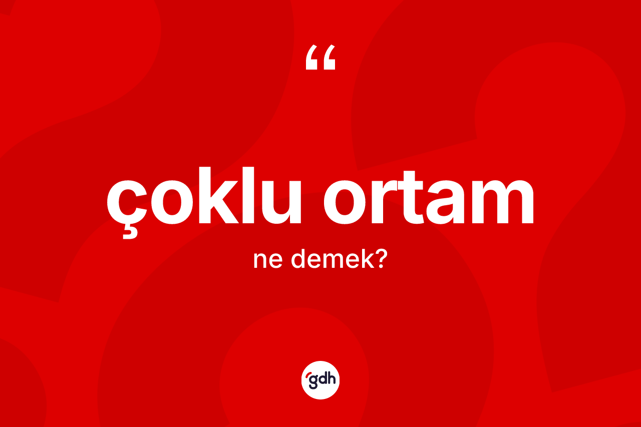 Çoklu ortam kelimesi ne anlama gelir?