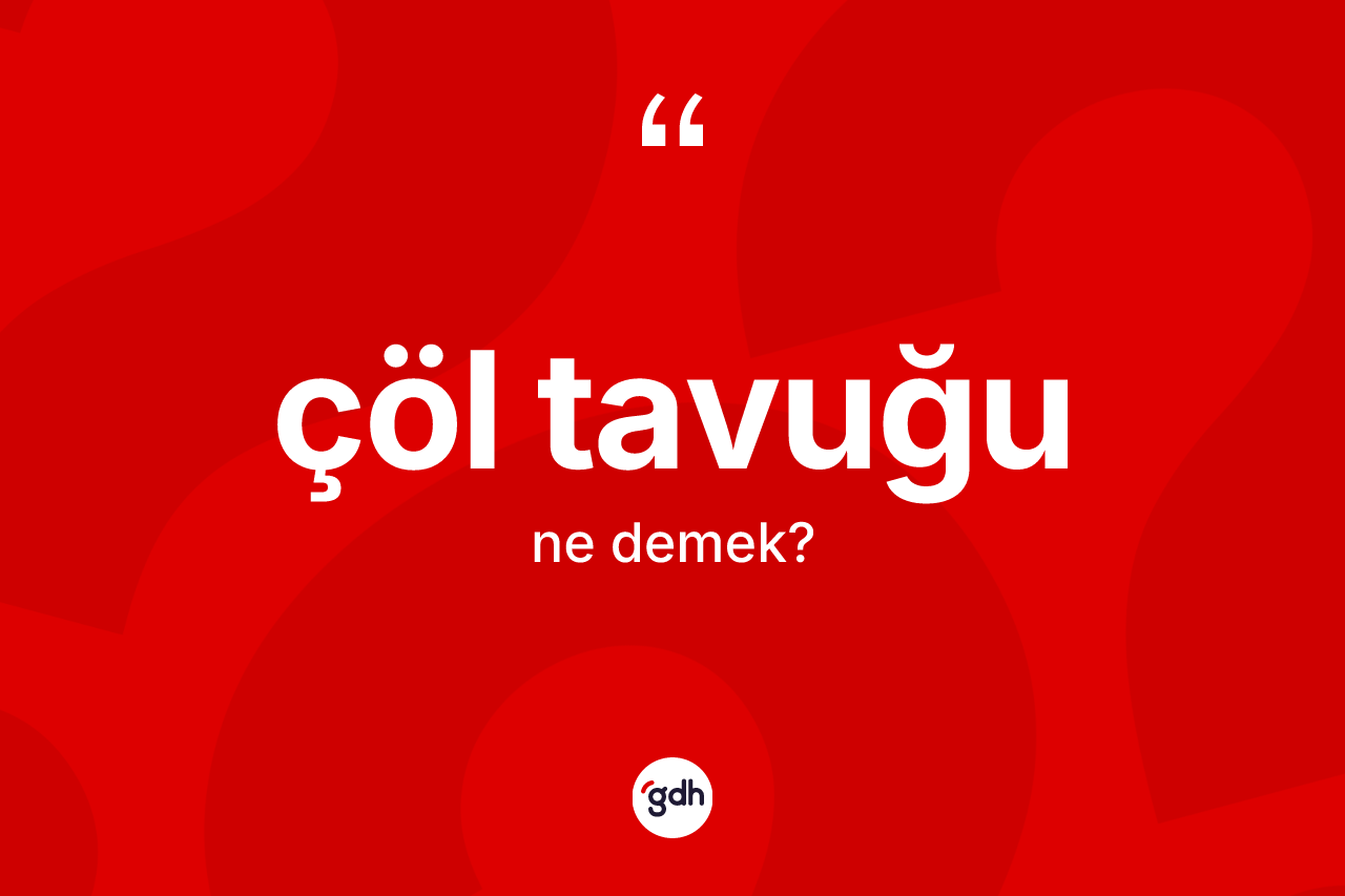 Çöl tavuğu kelimesinin sözlükteki tanımı nedir? Çöl tavuğunun TDK'ya göre anlamı nedir?