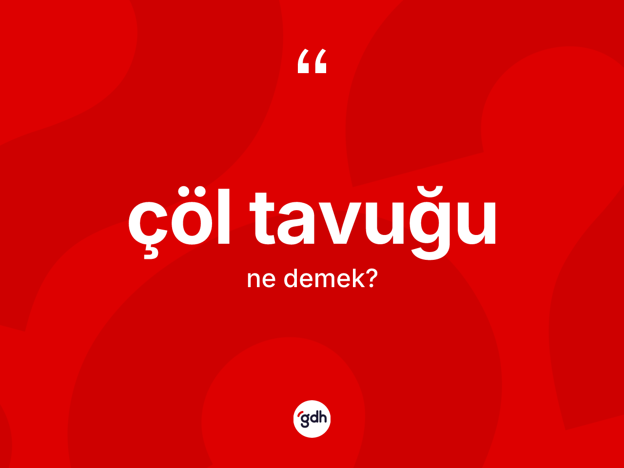 Çöl tavuğu kelimesinin sözlükteki tanımı nedir? Çöl tavuğunun TDK'ya göre anlamı nedir?