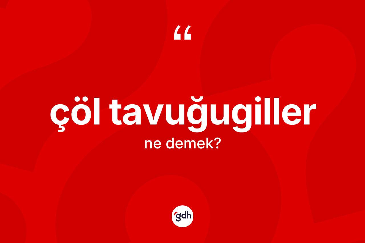 Çöl tavuğugiller ne anlama gelir? Çöl tavuğugillerin TDK'ya göre anlamı nedir?