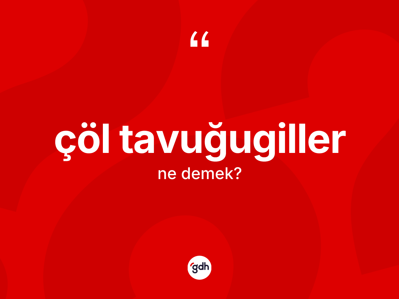 Çöl tavuğugiller ne anlama gelir? Çöl tavuğugillerin TDK'ya göre anlamı nedir?
