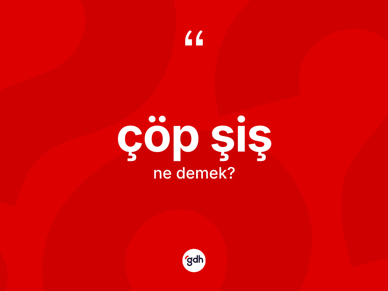 Çöp şiş nedir? Çöp şiş kelimesinin kaç farklı anlamı var?