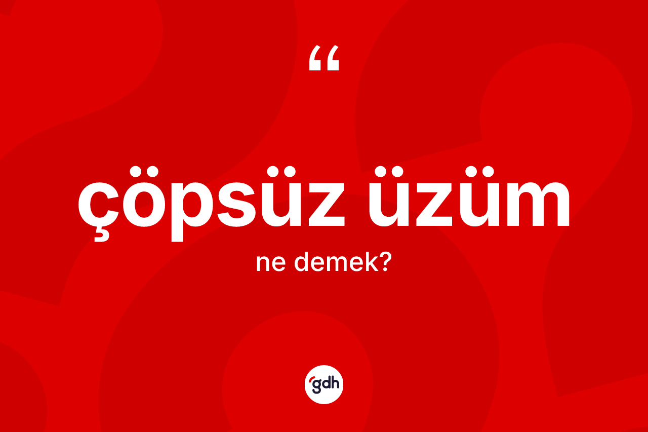 Çöpsüz üzüm kelimesinin tanımı nedir? Çöpsüz üzümün TDK'ya göre anlamı nedir?