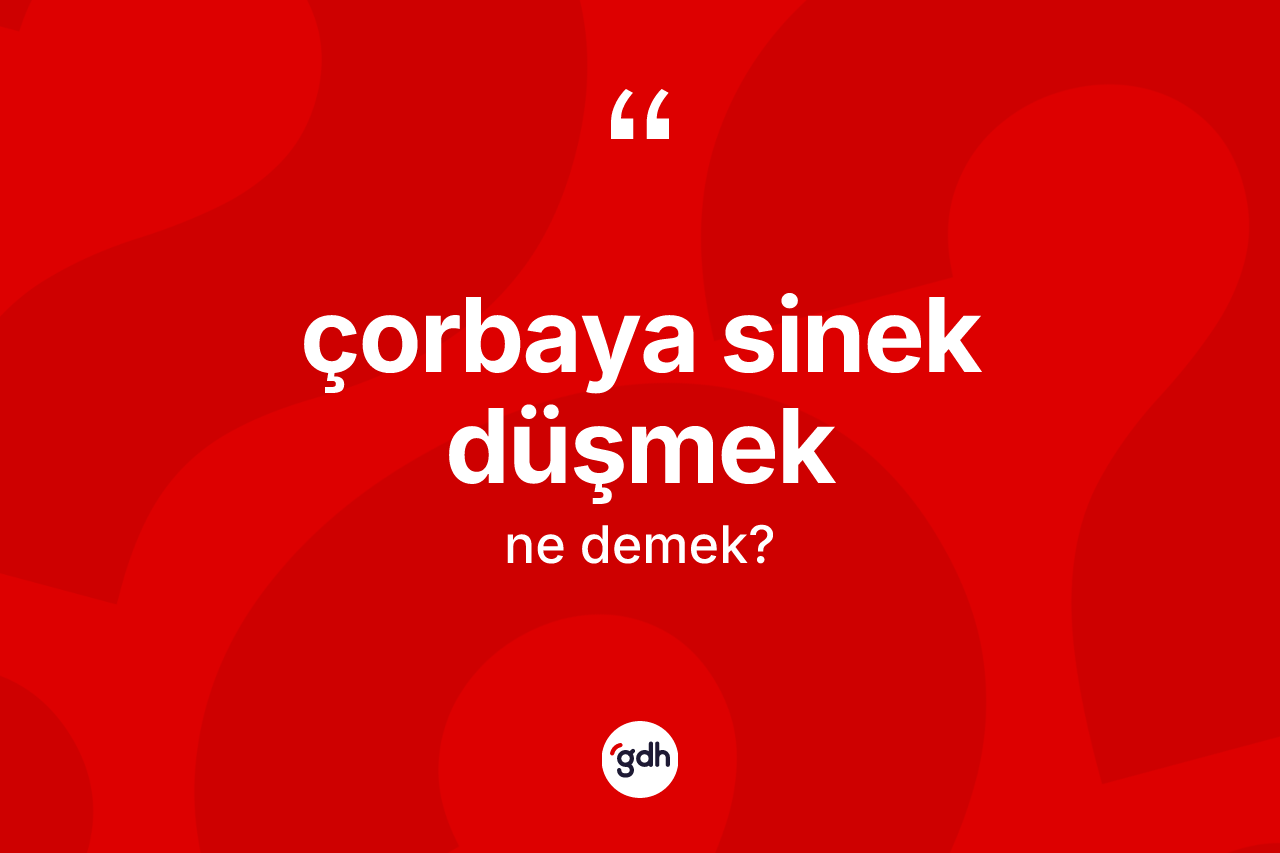 Çorbaya sinek düşmek deyiminin anlamı nedir?
