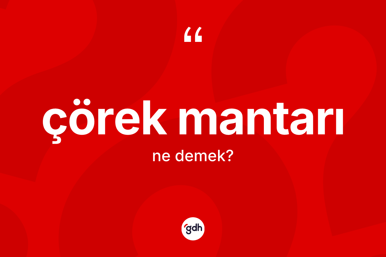 Çörek mantarı kelimesi ne anlama gelir? Çörek mantarının sözlükteki anlamı nedir?