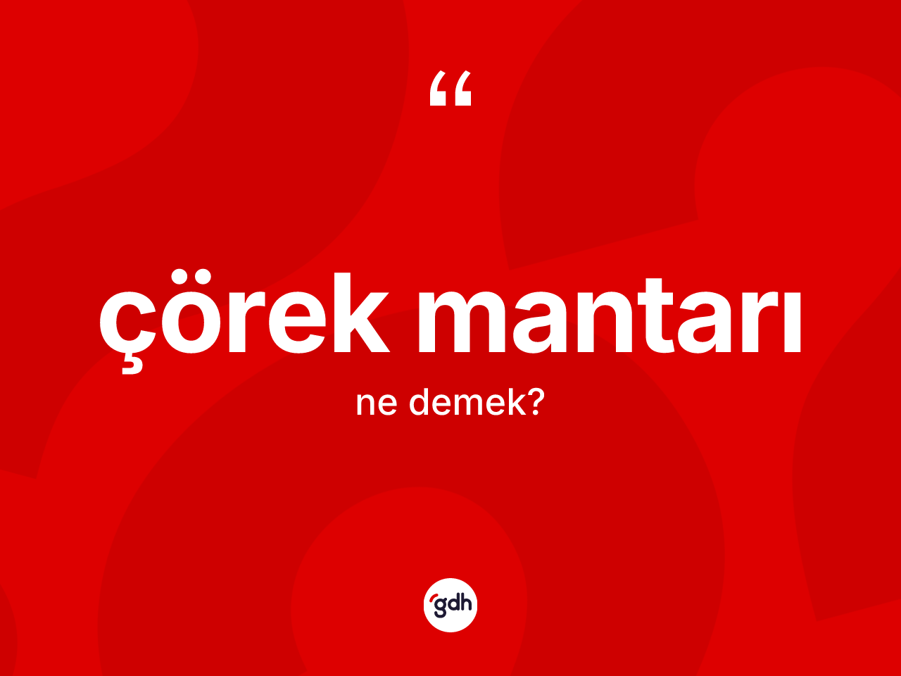 Çörek mantarı kelimesi ne anlama gelir? Çörek mantarının sözlükteki anlamı nedir?