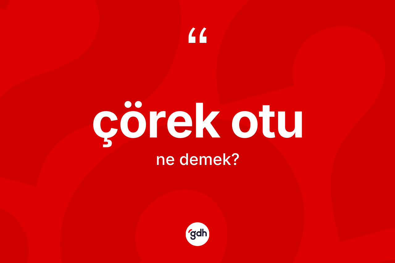 Çörek otu kelimesinin anlamı nedir? Çörek otunun halk arasındaki kullanımı nasıldır?