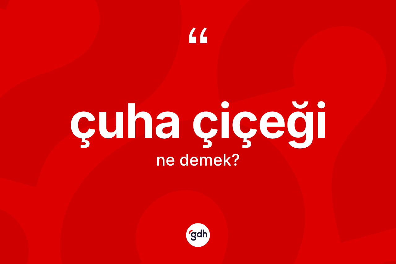 Çuha çiçeği kelimesi nedir? Çuha çiçeği kelimesinin TDK anlamı nedir?