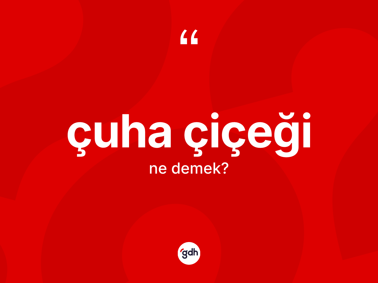 Çuha çiçeği kelimesi nedir? Çuha çiçeği kelimesinin TDK anlamı nedir?