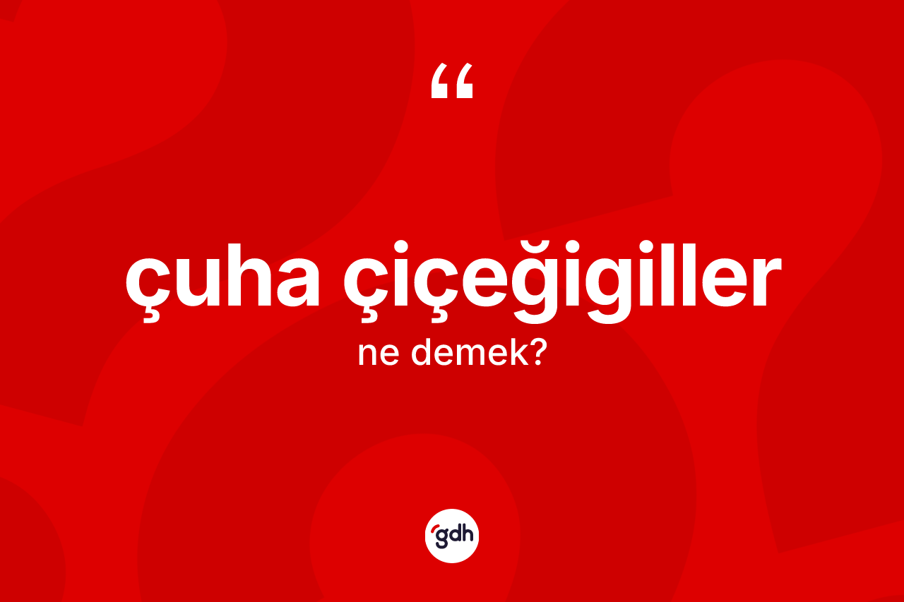 Çuha çiçeğigiller kelimesinin sözlükteki tanımı nedir? Çuha çiçeğigillerin TDK'ya göre anlamı nedir?