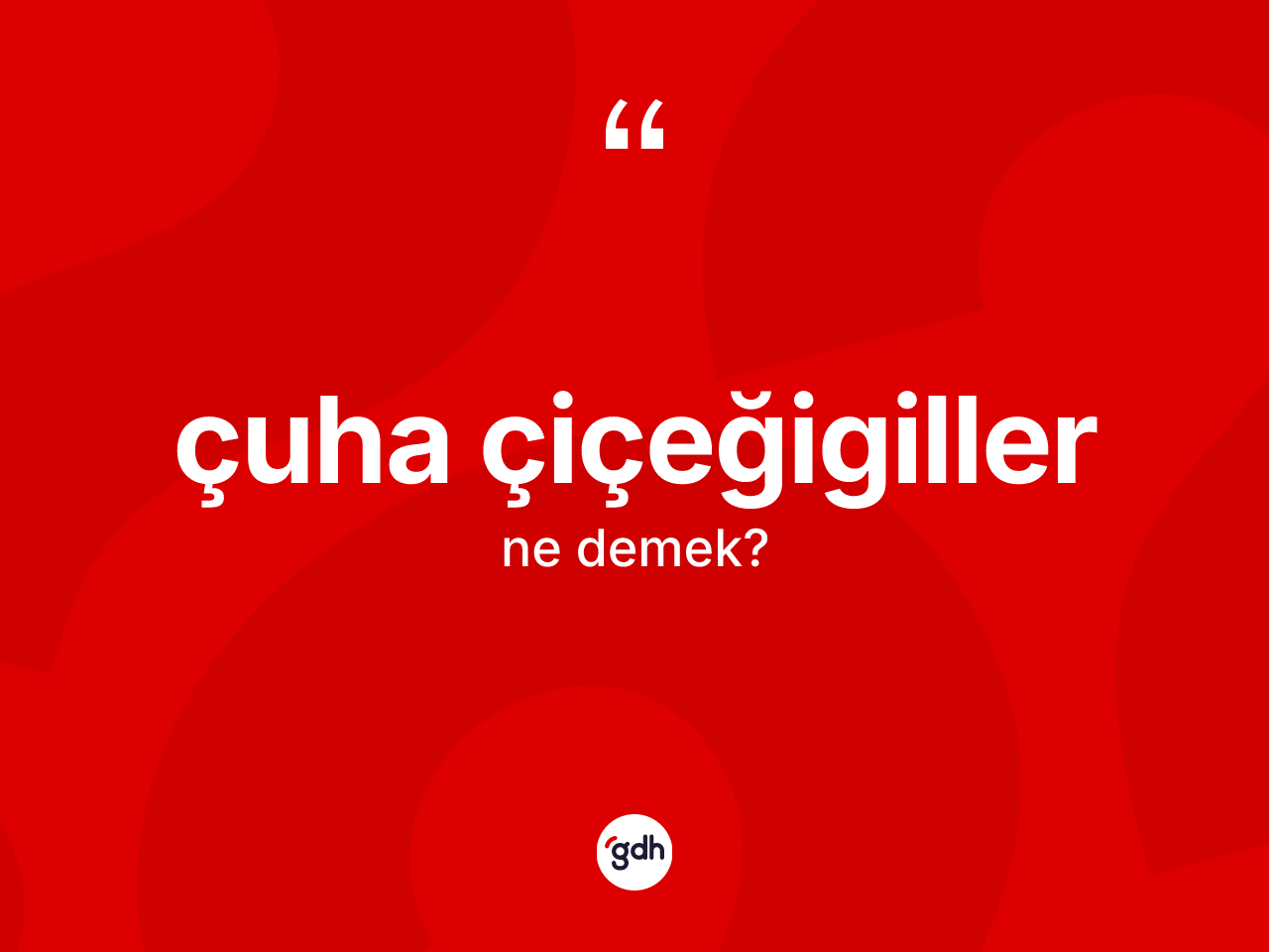 Çuha çiçeğigiller kelimesinin sözlükteki tanımı nedir? Çuha çiçeğigillerin TDK'ya göre anlamı nedir?