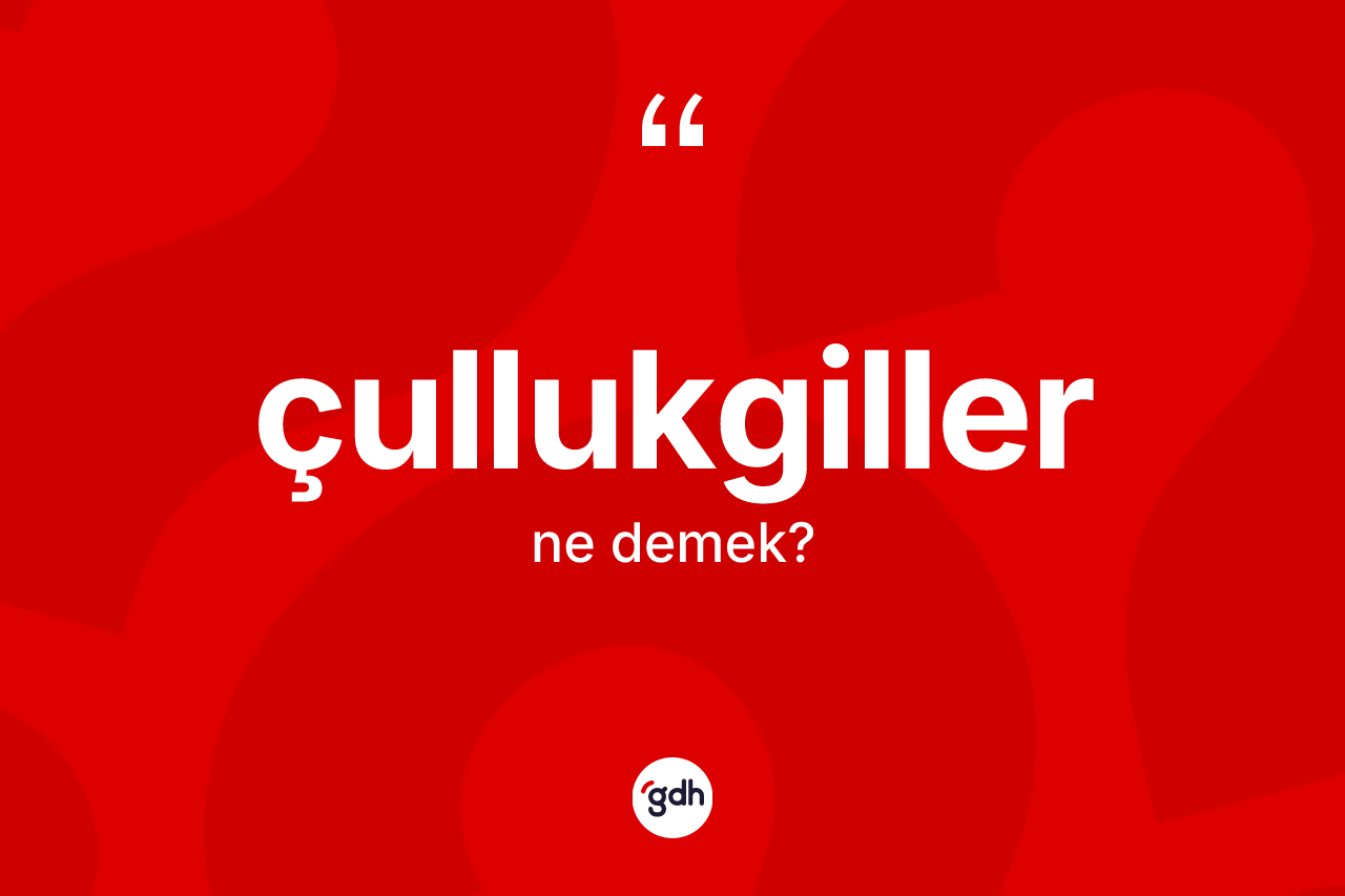 Çullukgiller kelimesinin tanımı nedir?