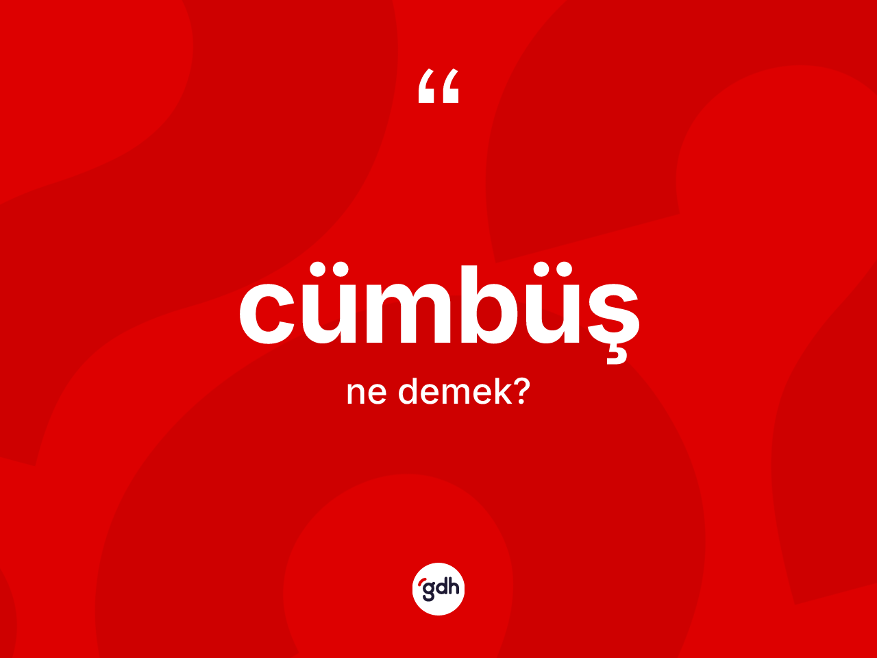 Cümbüş kelimesinin sözlükteki tanımı nedir? Cümbüşün TDK'ya göre anlamı nedir?
