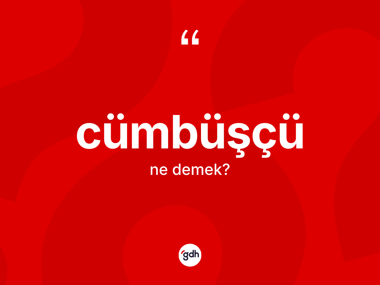 Cümbüşçü kelimesinin sözlükteki tanımı nedir? Cümbüşçü kelimesinin TDK'ya göre açıklaması nedir?