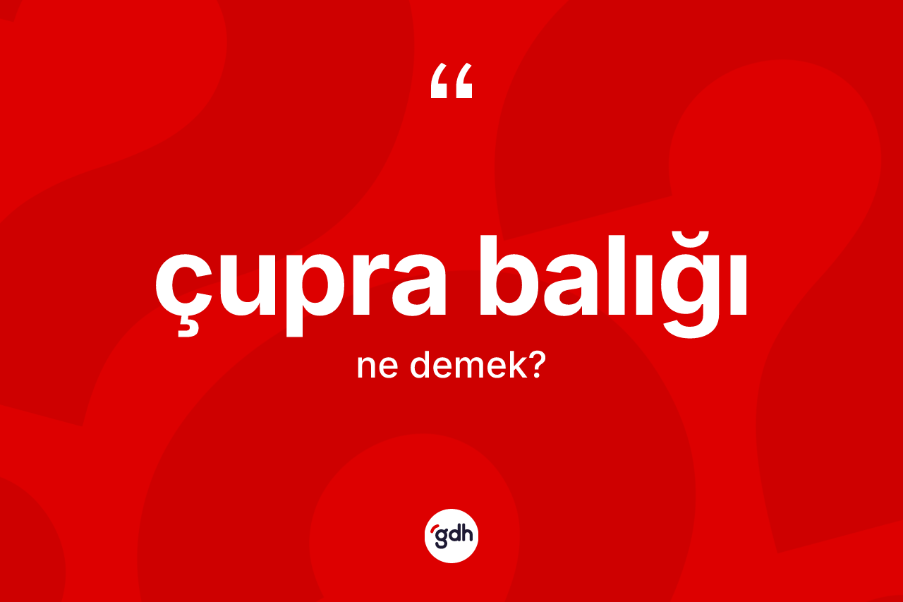 Çupra balığı ne anlama gelir? Çupra balığının TDK'ya göre anlamı nedir?