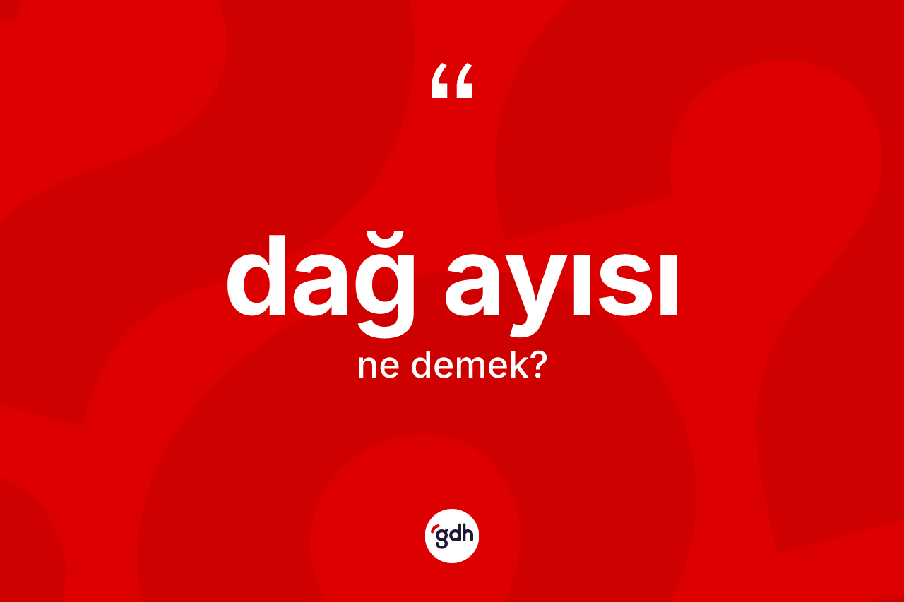 Dağ ayısı kelimesinin tanımı nedir? Dağ ayısı kelimesinin kaç farklı anlamı var?