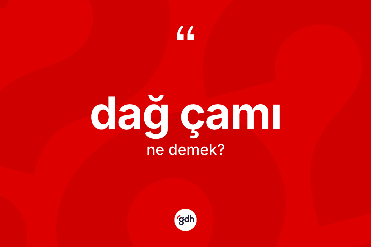 Dağ çamı kelimesinin tanımı nedir?