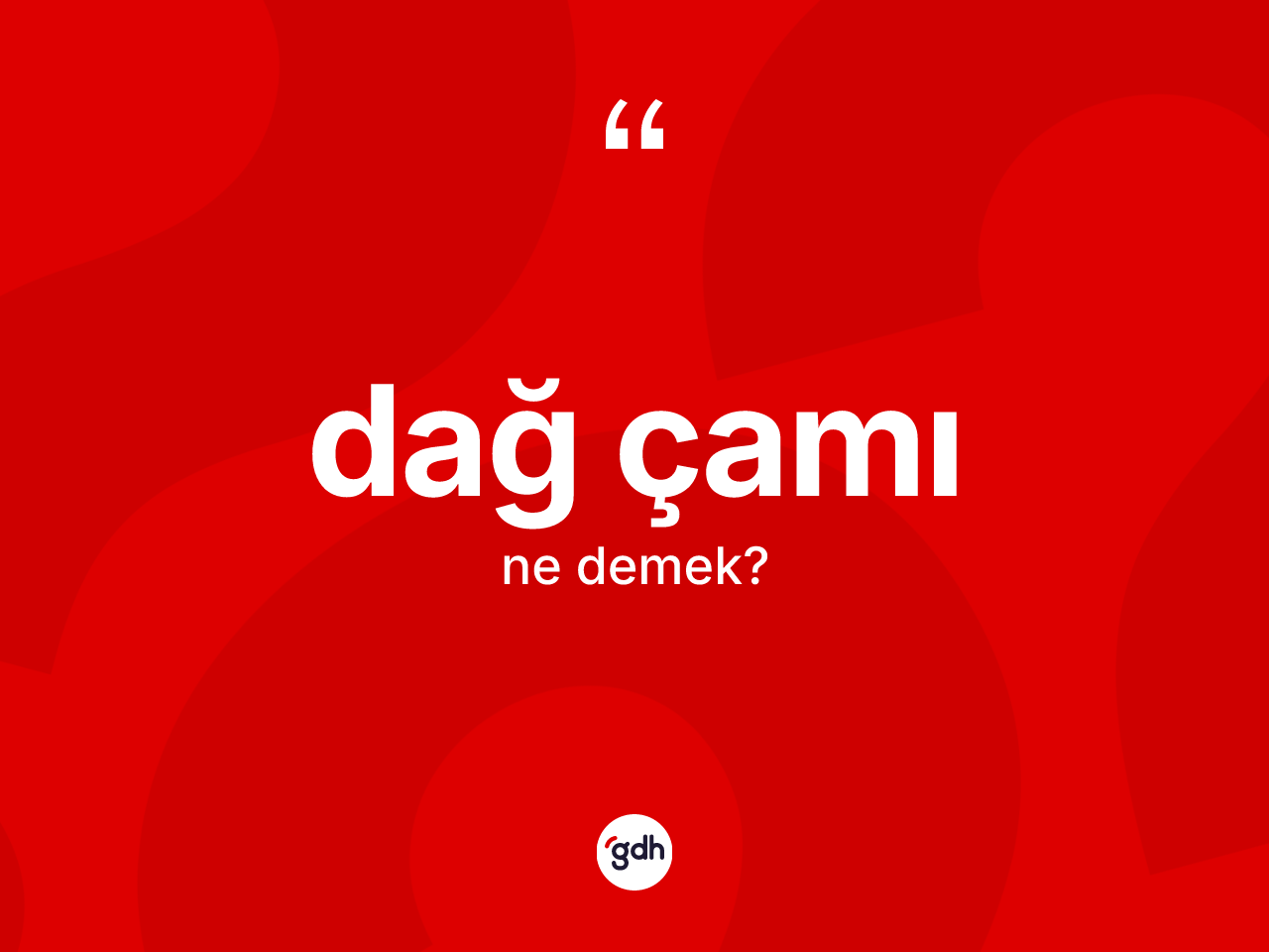 Dağ çamı kelimesinin tanımı nedir? Dağ çamının TDK'ya göre anlamı nedir?