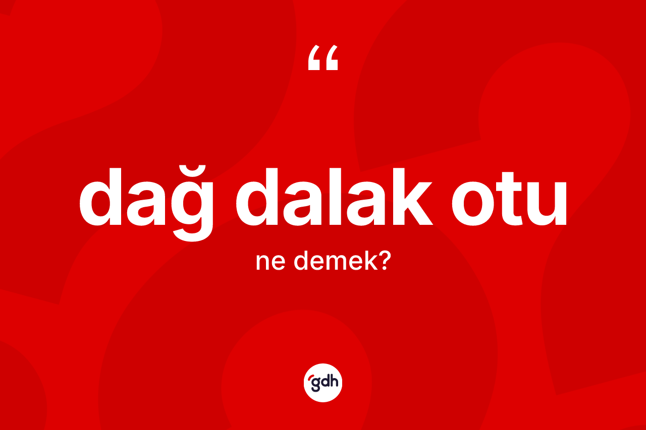 Dağ dalak otu ne demek? Dağ dalak otunun halk arasındaki kullanımı nasıldır?