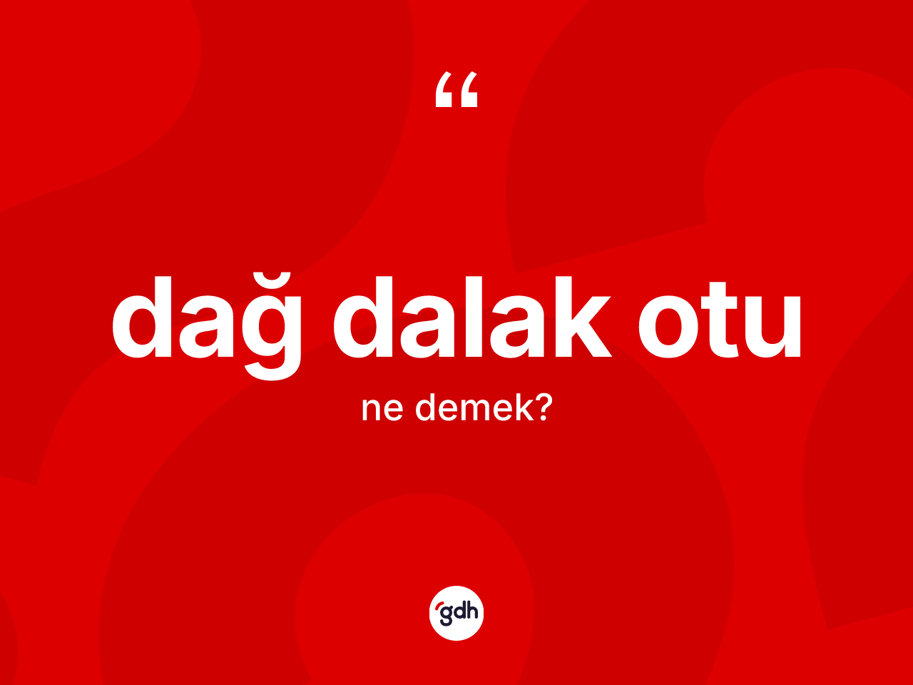 Dağ dalak otu ne demek? Dağ dalak otunun halk arasındaki kullanımı nasıldır?