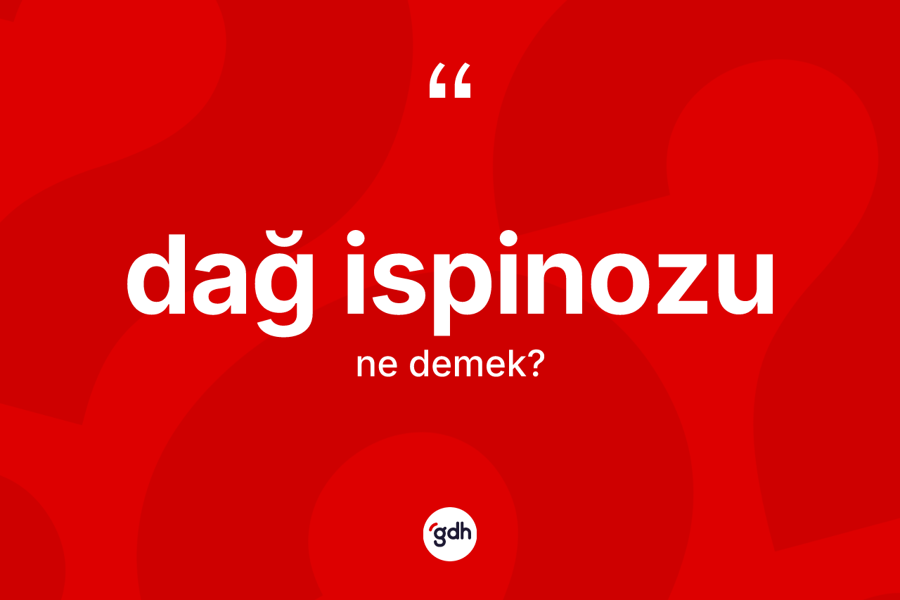 Dağ ispinozu ne anlama gelir? Dağ ispinozu kelimesinin TDK'ya göre açıklaması nedir?