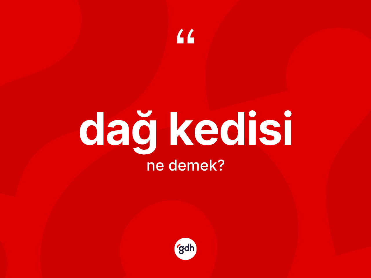 Dağ kedisi ne anlama gelir? Dağ kedisi kelimesinin özellikleri nelerdir?